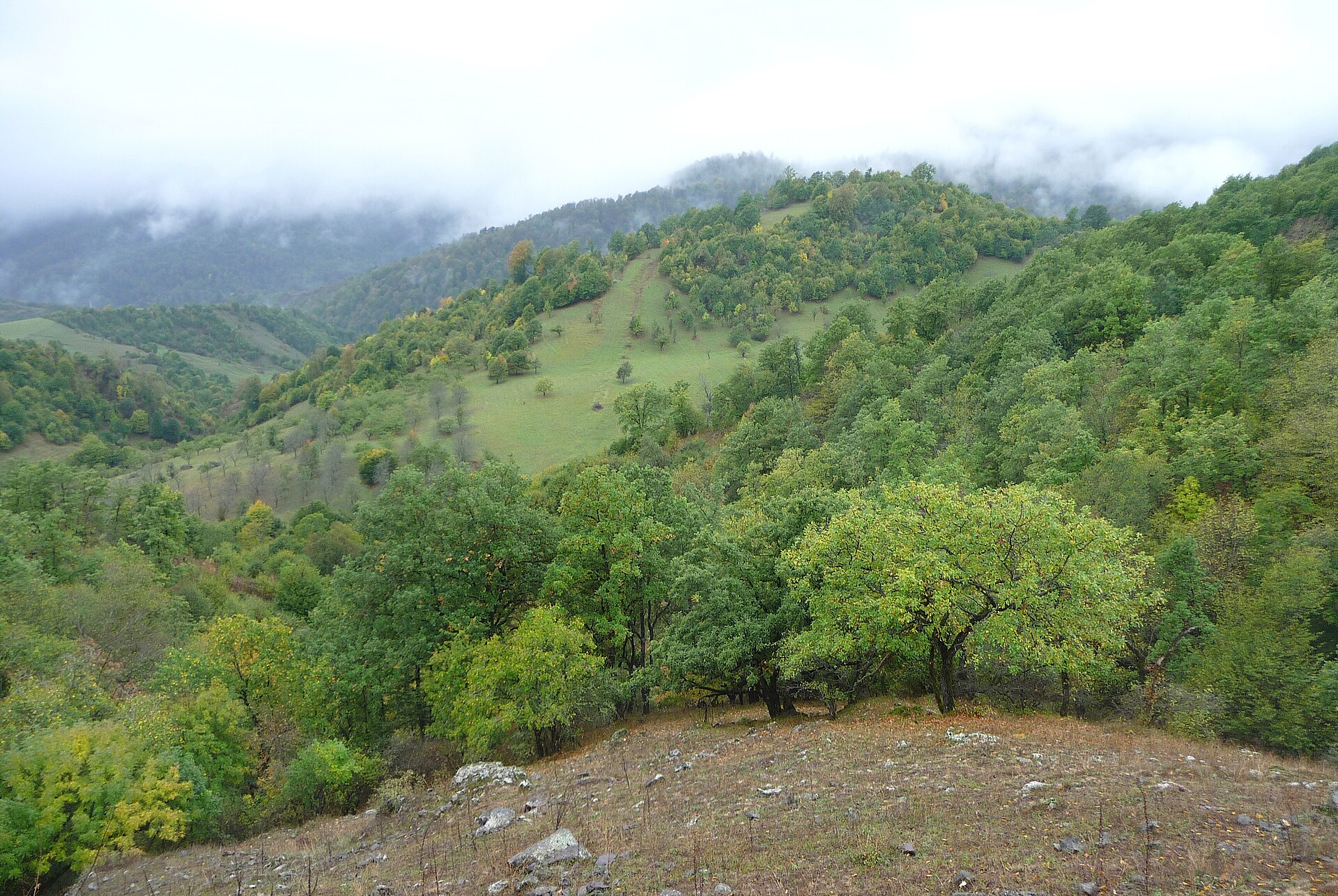 Դիլիջան